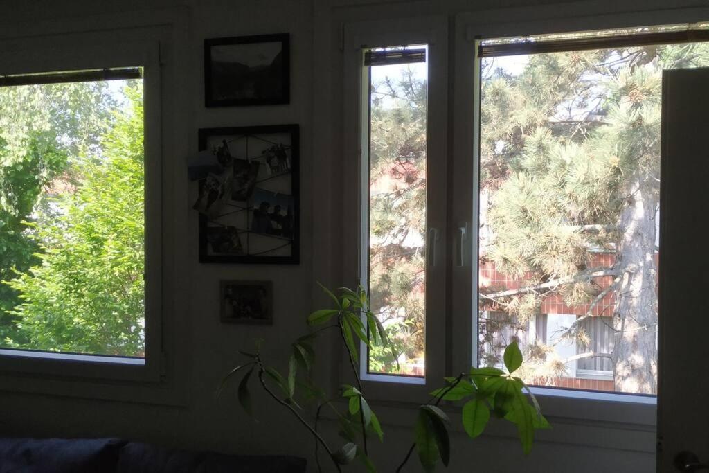 15 Min Zum Zentrum Apartment Виена Екстериор снимка